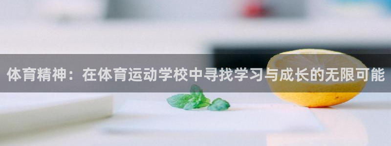 xc体育app官方网站