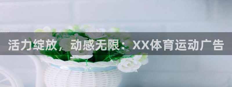 xc体育app官方网站