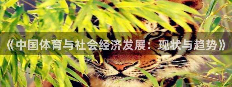 xc体育app官方网站