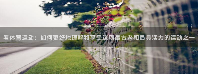 xc体育app官方网站