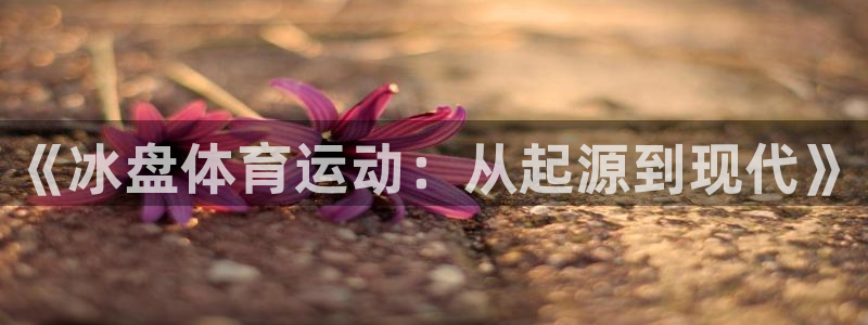 xc体育：《冰盘体育运动：从起源到现代》