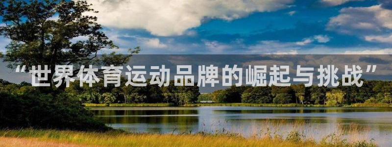 xc体育app官方网站：“世界体育运动品牌的崛起与挑战”