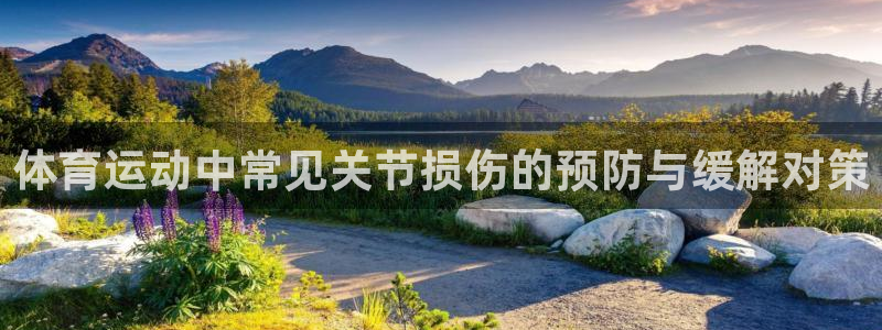 xc体育app官方网站：体育运动中常见关节损伤的预防与缓解对策