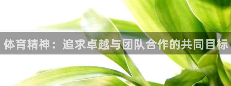 xc体育