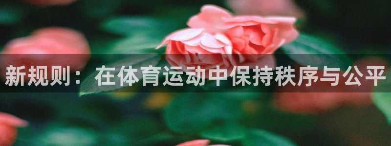 xc体育