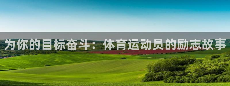 xc体育